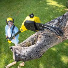 Lawn Renovation and Restoration in Garwood, NJ